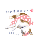 まさるのお返事スタンプ（個別スタンプ：4）