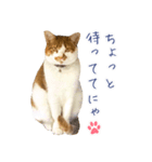 まさるのお返事スタンプ（個別スタンプ：6）