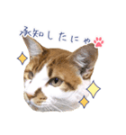 まさるのお返事スタンプ（個別スタンプ：8）