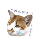 まさるのお返事スタンプ（個別スタンプ：14）