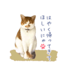 まさるのお返事スタンプ（個別スタンプ：16）