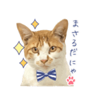 まさるのお返事スタンプ（個別スタンプ：19）