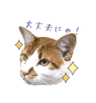 まさるのお返事スタンプ（個別スタンプ：23）
