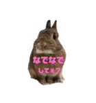 ちぇすなっとこむぎ（個別スタンプ：8）