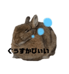 ちぇすなっとこむぎ（個別スタンプ：22）