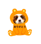 エンジェルドッグ ハッピー・第2弾（個別スタンプ：7）