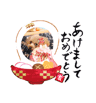 アンジーのご挨拶！Part2（個別スタンプ：2）