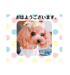 アンジーのご挨拶！Part2（個別スタンプ：10）