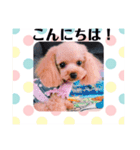 アンジーのご挨拶！Part2（個別スタンプ：11）