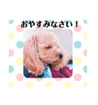 アンジーのご挨拶！Part2（個別スタンプ：13）