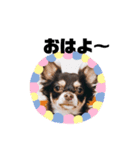 ACEくんstamp（個別スタンプ：1）