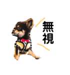 ACEくんstamp（個別スタンプ：5）