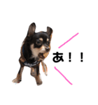 ACEくんstamp（個別スタンプ：8）