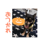 ACEくんstamp（個別スタンプ：10）