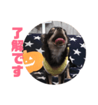 ACEくんstamp（個別スタンプ：14）
