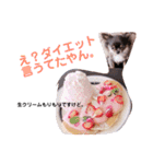 チワワREMのつぶやき。（個別スタンプ：13）
