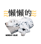 犬—ダルメシアン（個別スタンプ：22）