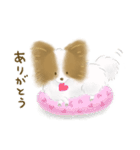ふわふわパピヨン（個別スタンプ：1）