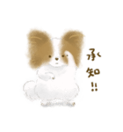 ふわふわパピヨン（個別スタンプ：2）