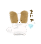 ふわふわパピヨン（個別スタンプ：4）