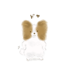 ふわふわパピヨン（個別スタンプ：7）