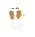 ふわふわパピヨン（個別スタンプ：9）
