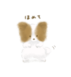 ふわふわパピヨン（個別スタンプ：10）