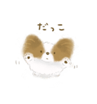 ふわふわパピヨン（個別スタンプ：11）