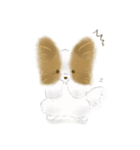 ふわふわパピヨン（個別スタンプ：20）