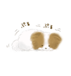 ふわふわパピヨン（個別スタンプ：21）