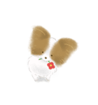 ふわふわパピヨン（個別スタンプ：24）