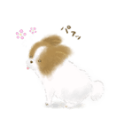 ふわふわパピヨン（個別スタンプ：30）