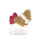ふわふわパピヨン（個別スタンプ：37）