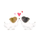 ふわふわパピヨン（個別スタンプ：38）