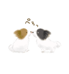 ふわふわパピヨン（個別スタンプ：39）