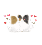 ふわふわパピヨン（個別スタンプ：40）