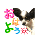 ちんちくりんの日常。（個別スタンプ：4）