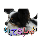ちんちくりんの日常。（個別スタンプ：12）