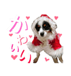 ちんちくりんの日常。（個別スタンプ：13）