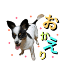 ちんちくりんの日常。（個別スタンプ：14）