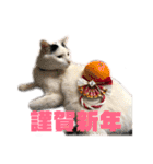 モノクロねこ。正月・冬（個別スタンプ：1）