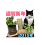 モノクロねこ。正月・冬（個別スタンプ：2）