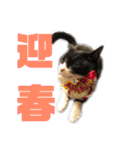 モノクロねこ。正月・冬（個別スタンプ：3）