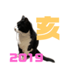 モノクロねこ。正月・冬（個別スタンプ：6）