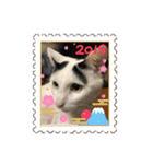 モノクロねこ。正月・冬（個別スタンプ：9）