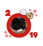 モノクロねこ。正月・冬（個別スタンプ：11）