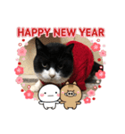 モノクロねこ。正月・冬（個別スタンプ：12）