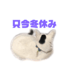 モノクロねこ。正月・冬（個別スタンプ：19）