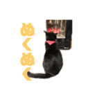 モノクロねこ。正月・冬（個別スタンプ：30）