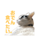 モノクロねこ。正月・冬（個別スタンプ：31）